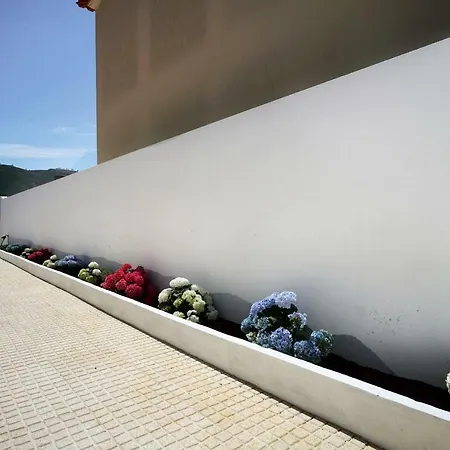 Vila Casa Da Aldeia Em Alcobaça